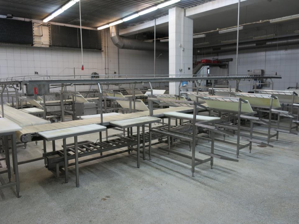 Fleischverarbeitungsmaschinen-4